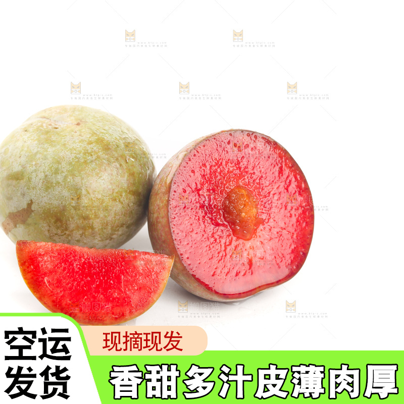 白底上的芙蓉李