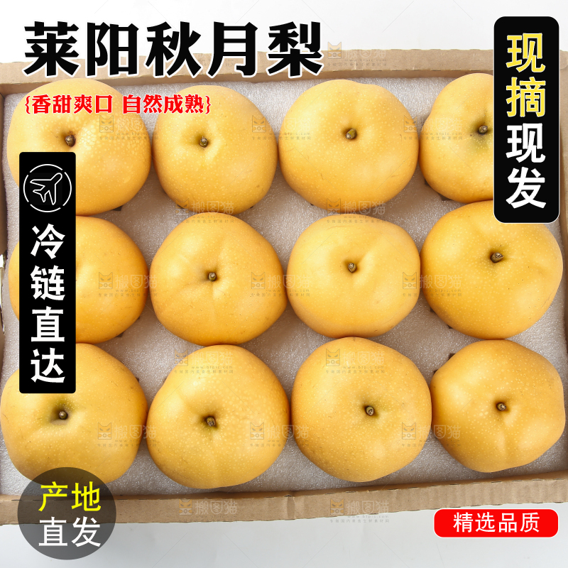 浅底上的一盒秋月梨