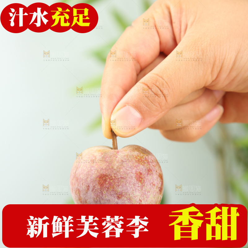 浅底上的芙蓉李