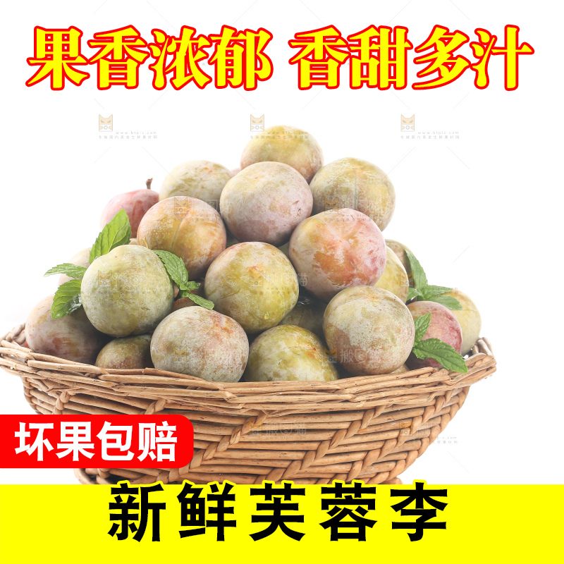 白底上的芙蓉李