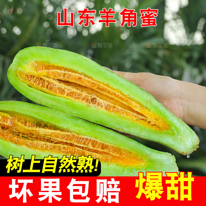 手里拿着羊角蜜甜瓜
