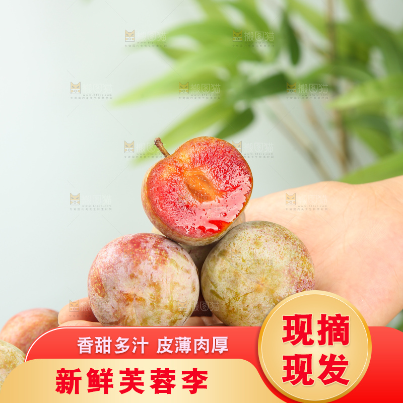 浅底上的芙蓉李