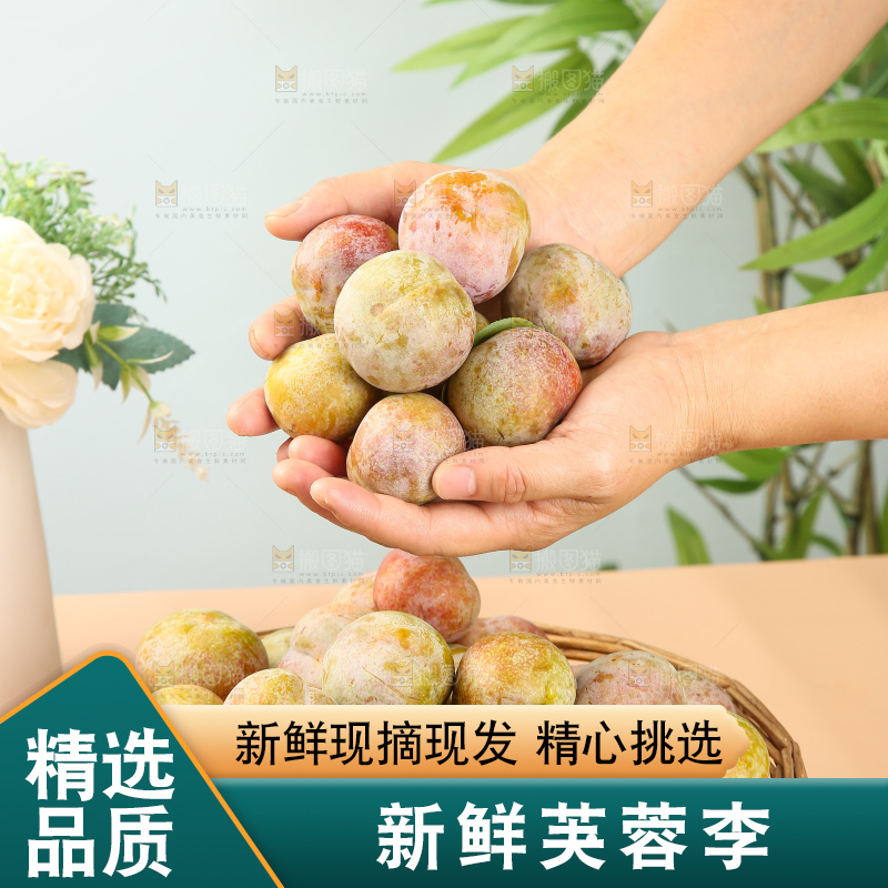 浅底上的芙蓉李