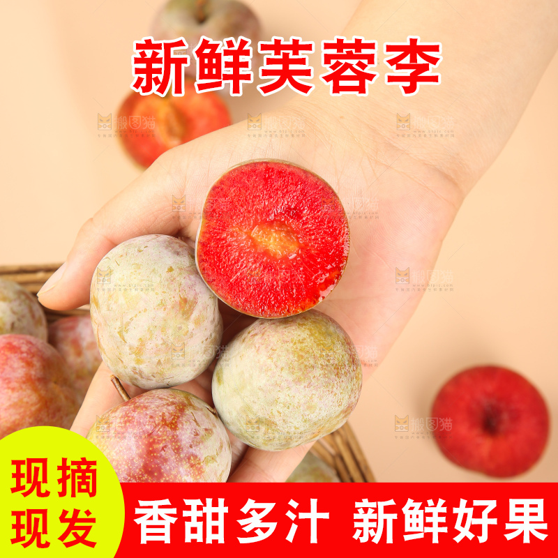 浅底上的芙蓉李