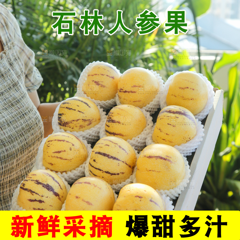 手里拿着一箱石林人参果