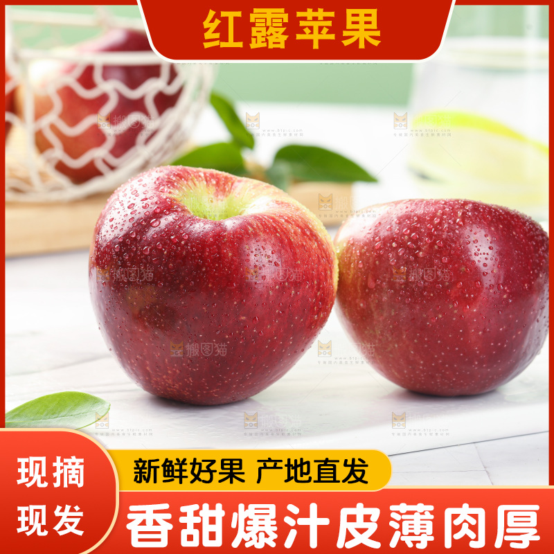 浅底上的红露苹果