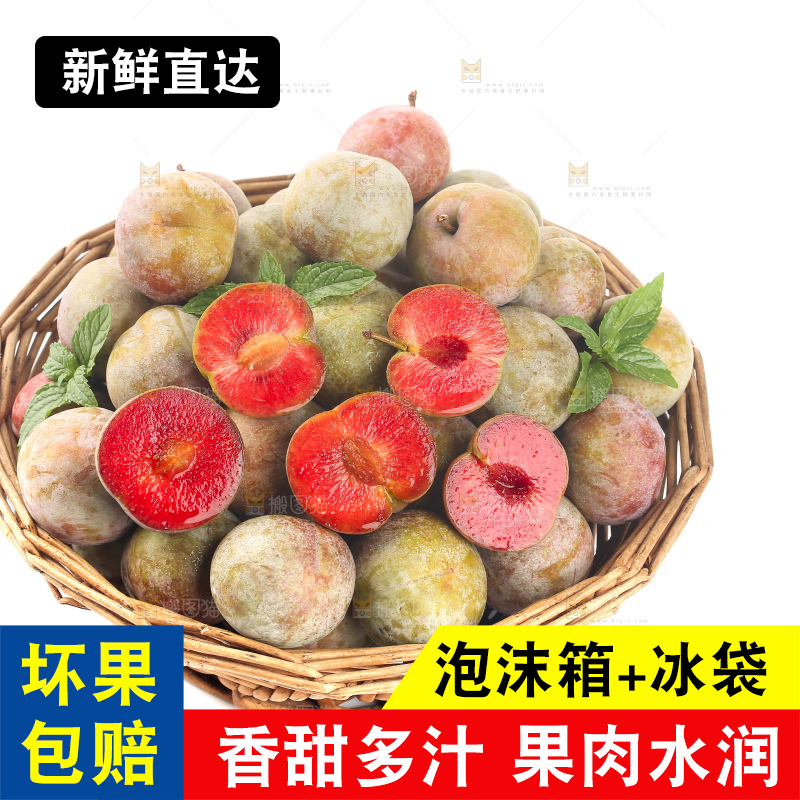 白底上的芙蓉李
