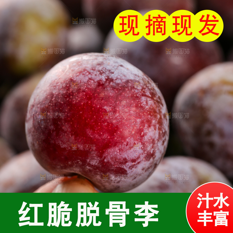 木底上的红脆李