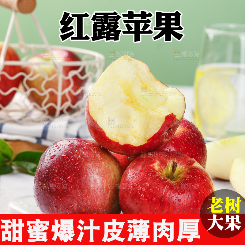 浅底上的红露苹果