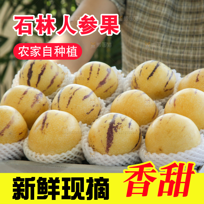 手里拿着一箱石林人参果