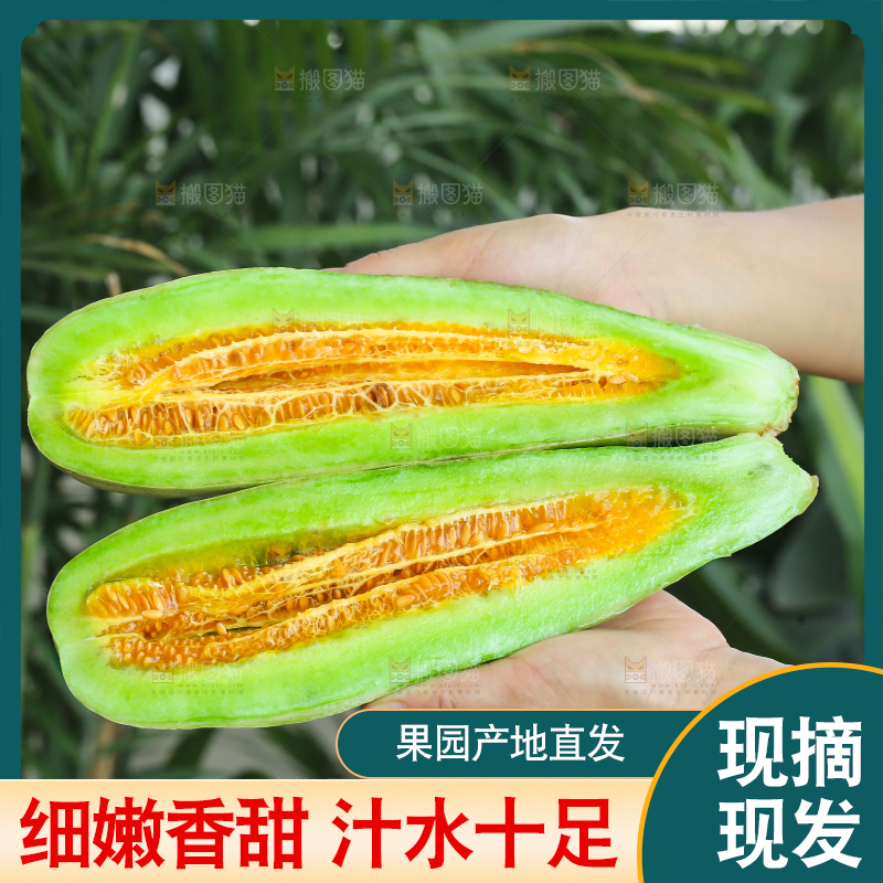 手里拿着羊角蜜甜瓜