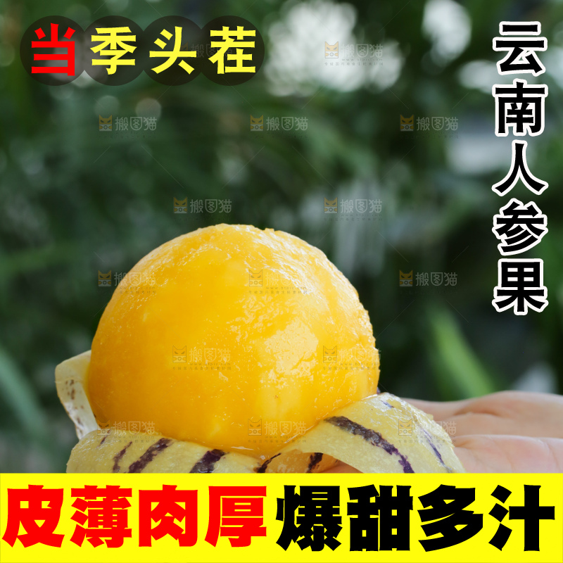手里拿着石林人参果