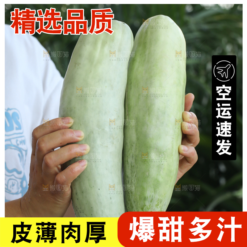 手里拿着羊角蜜甜瓜
