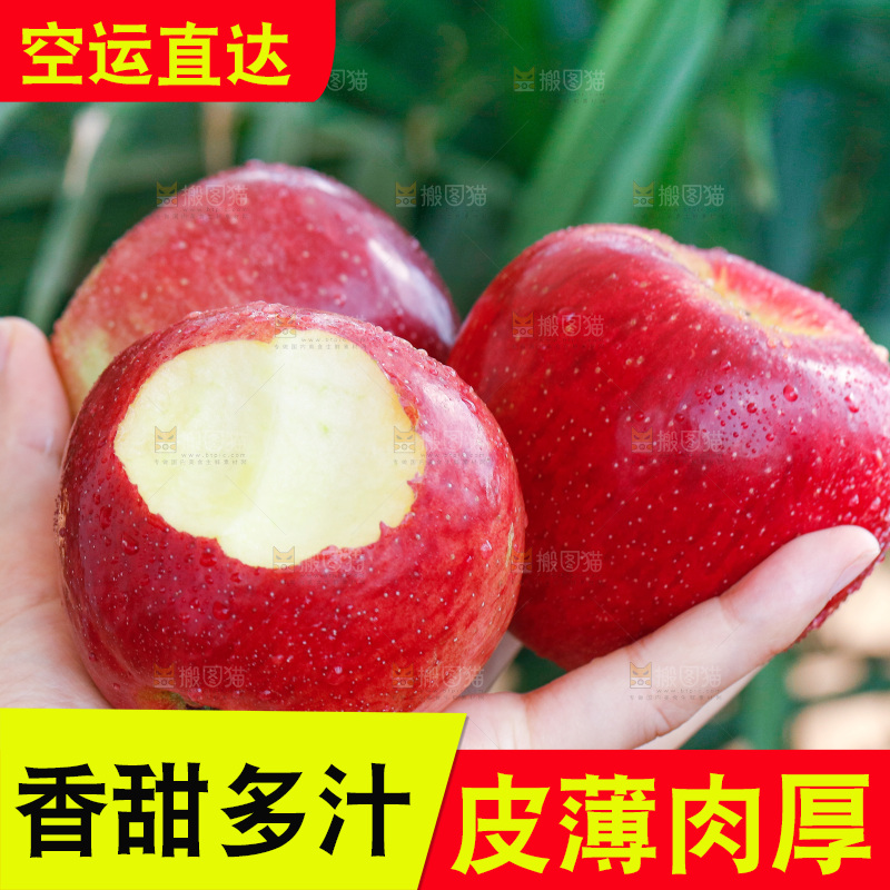 手里拿着红露苹果