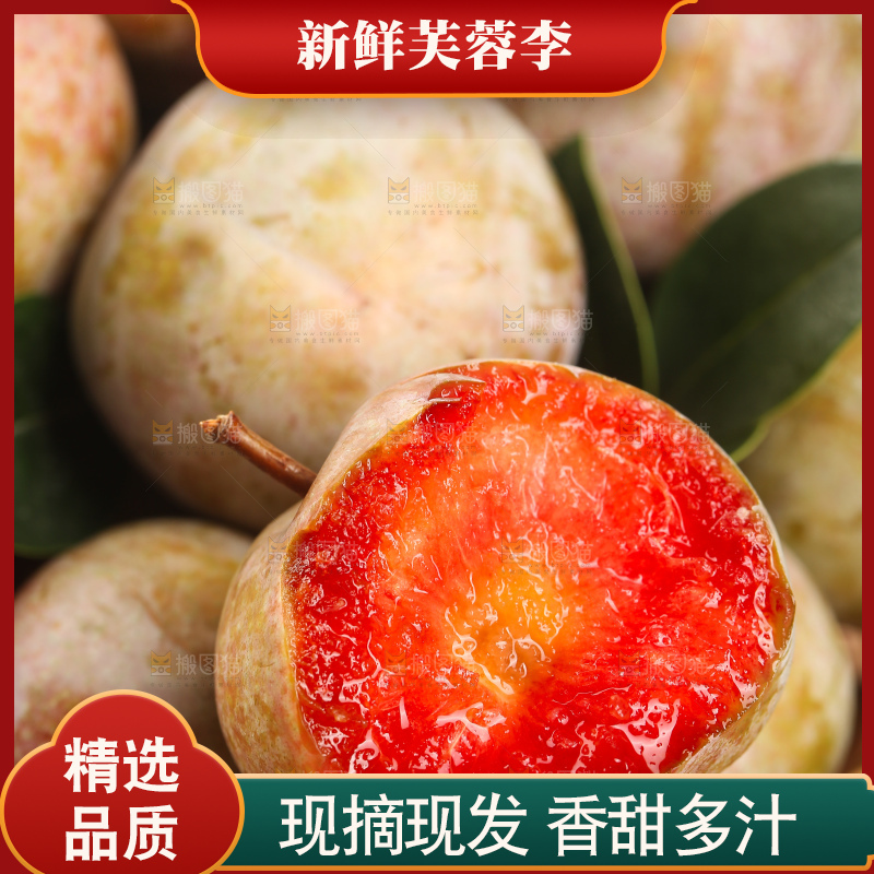 浅底上的芙蓉李