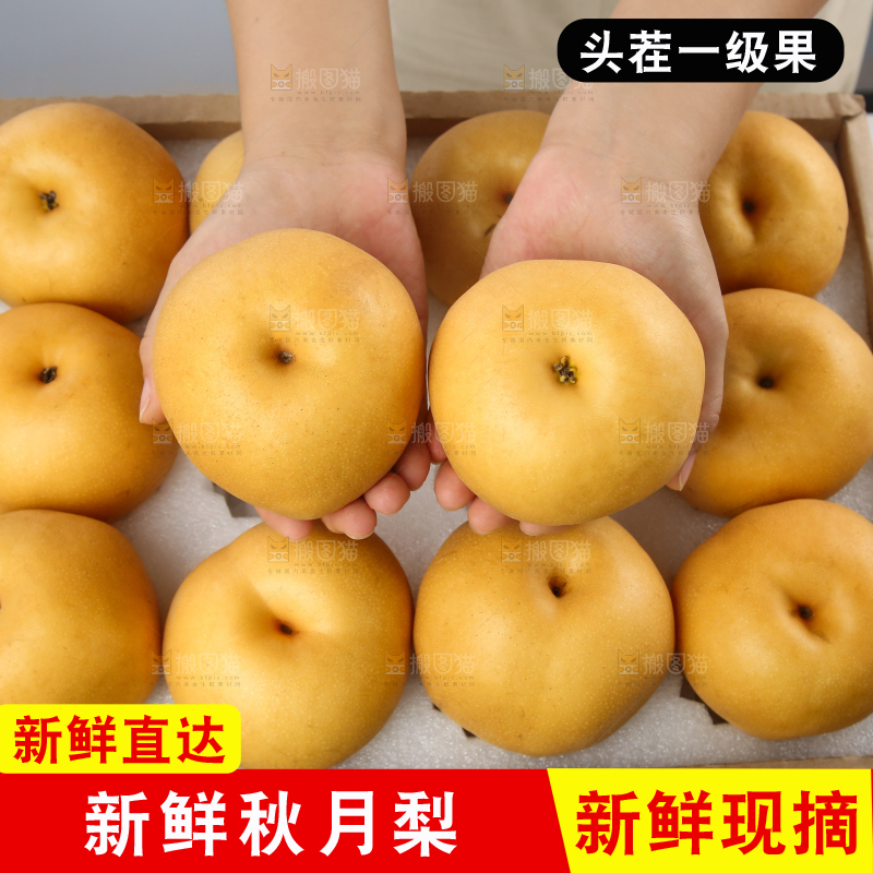 浅底上的一盒秋月梨