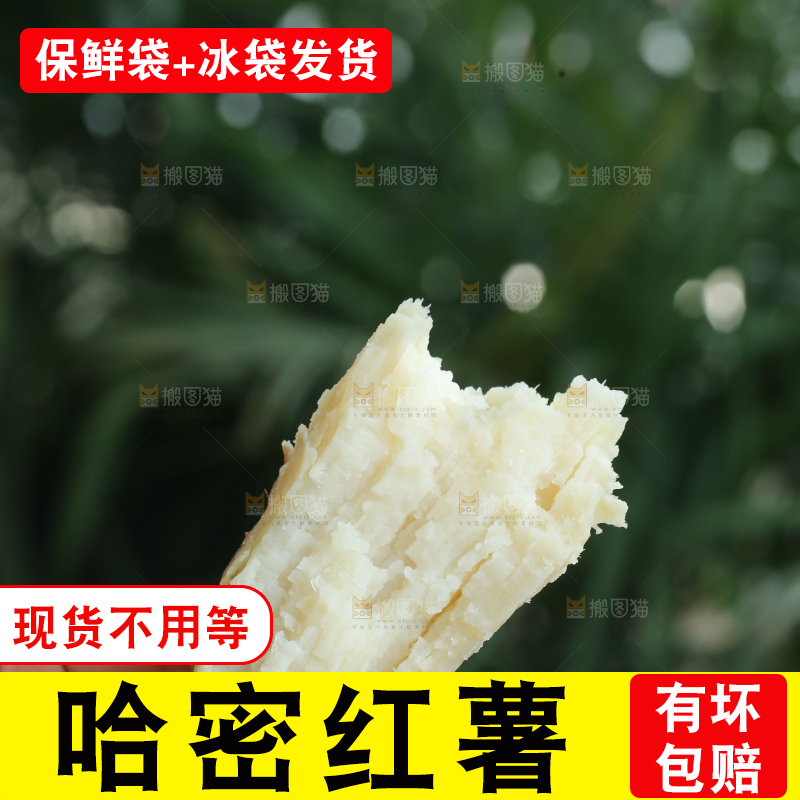 手里拿着白心冰糖薯