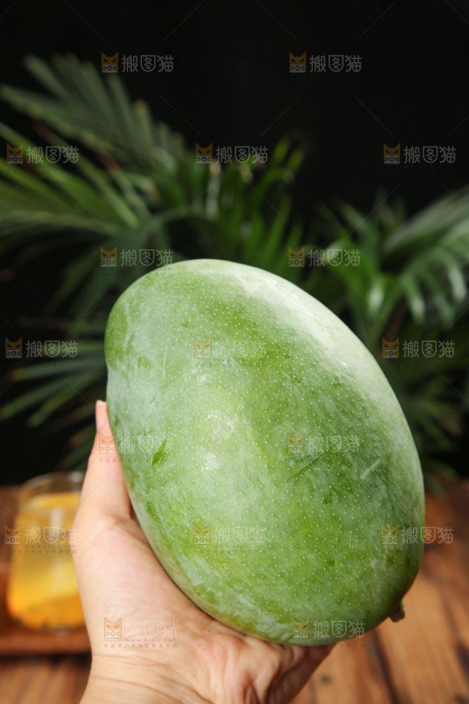 手里拿着凯特芒