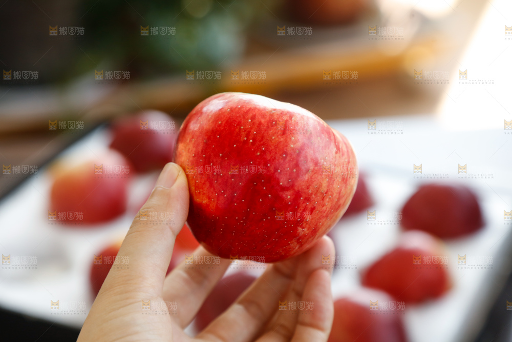 手里拿着红露苹果