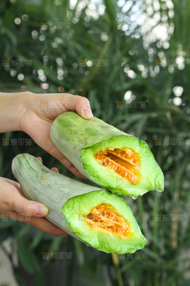 手里拿着羊角蜜甜瓜