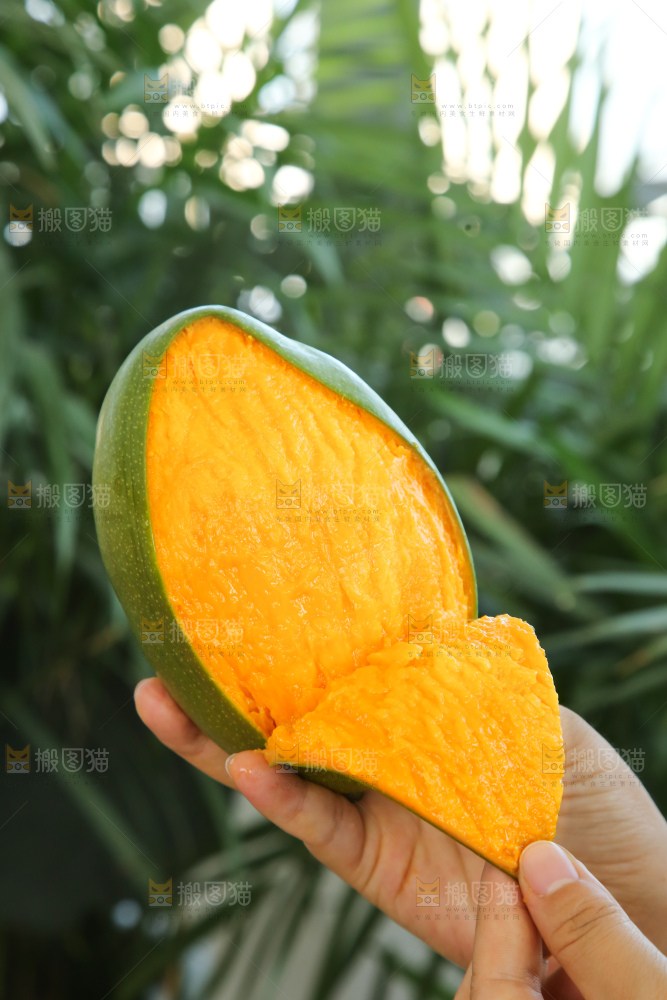 手里拿着凯特芒