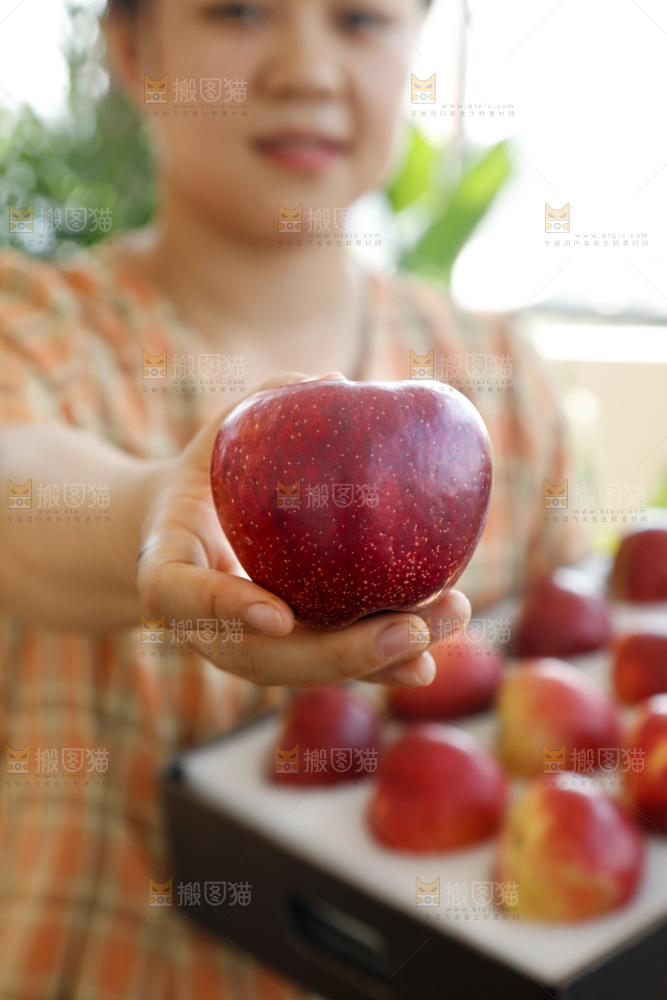 手里拿着红露苹果