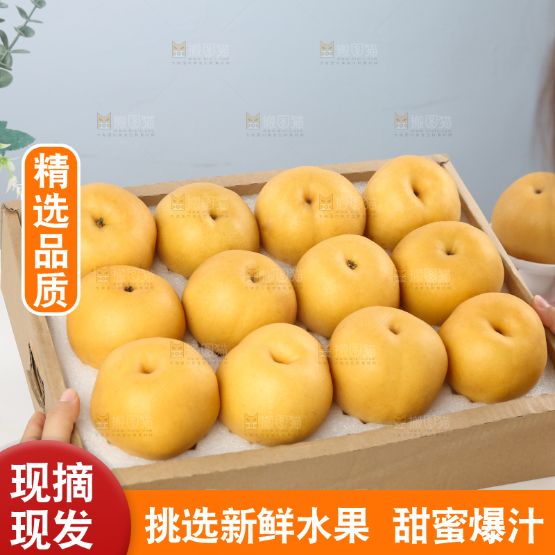 浅底上的一盒秋月梨