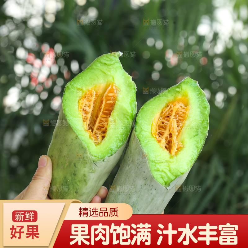 手里拿着羊角蜜甜瓜
