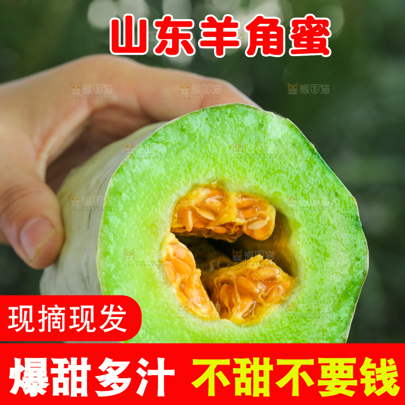 手里拿着羊角蜜甜瓜