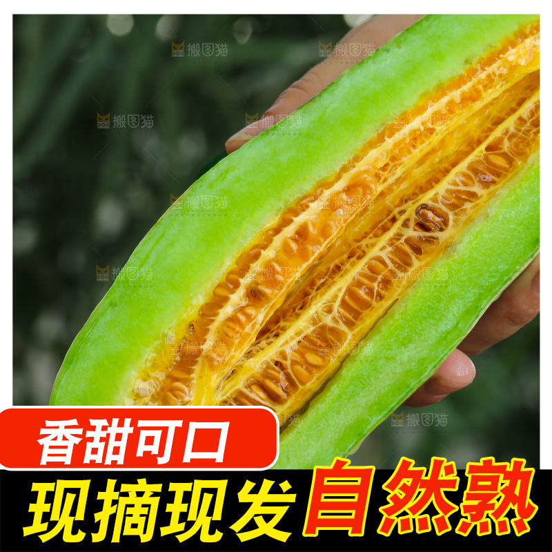 手里拿着羊角蜜甜瓜