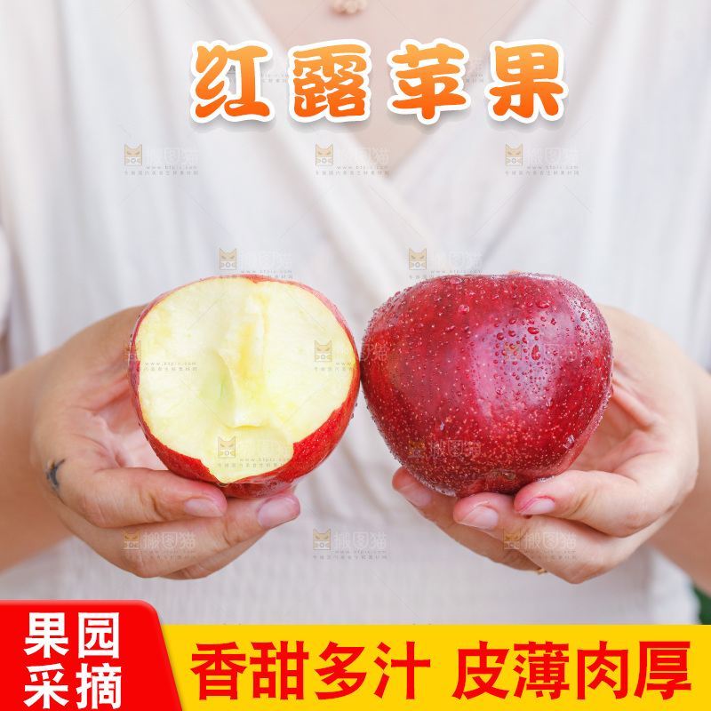 手里拿着红露苹果