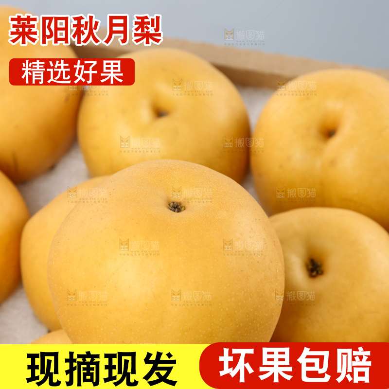 浅底上的一盒秋月梨