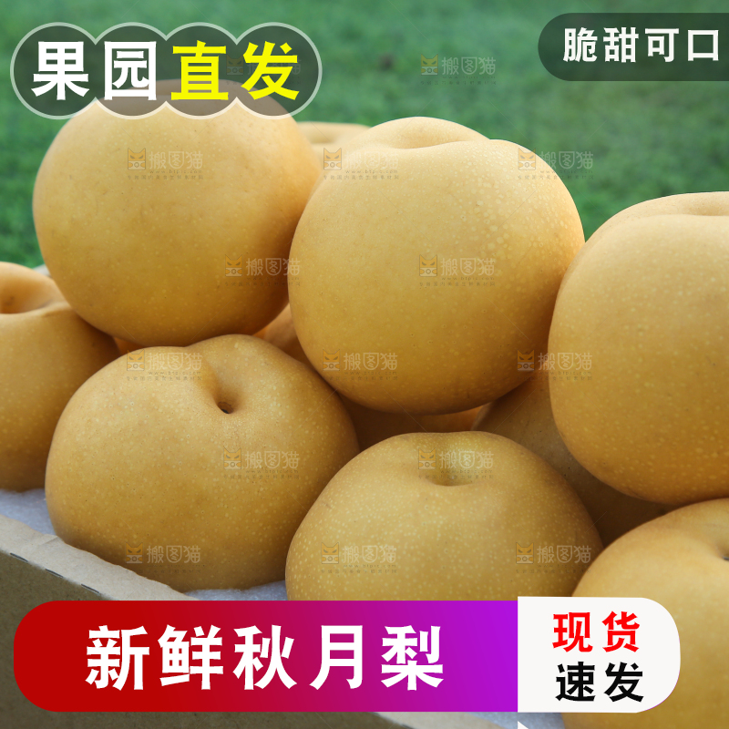 深底上的一盒秋月梨