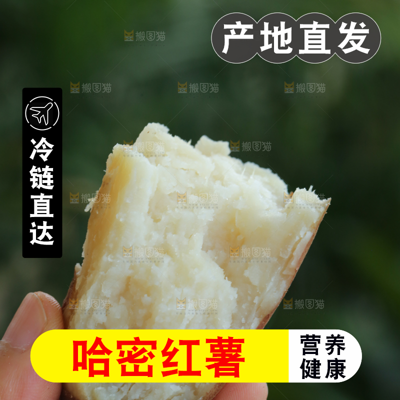 手里拿着白心冰糖薯