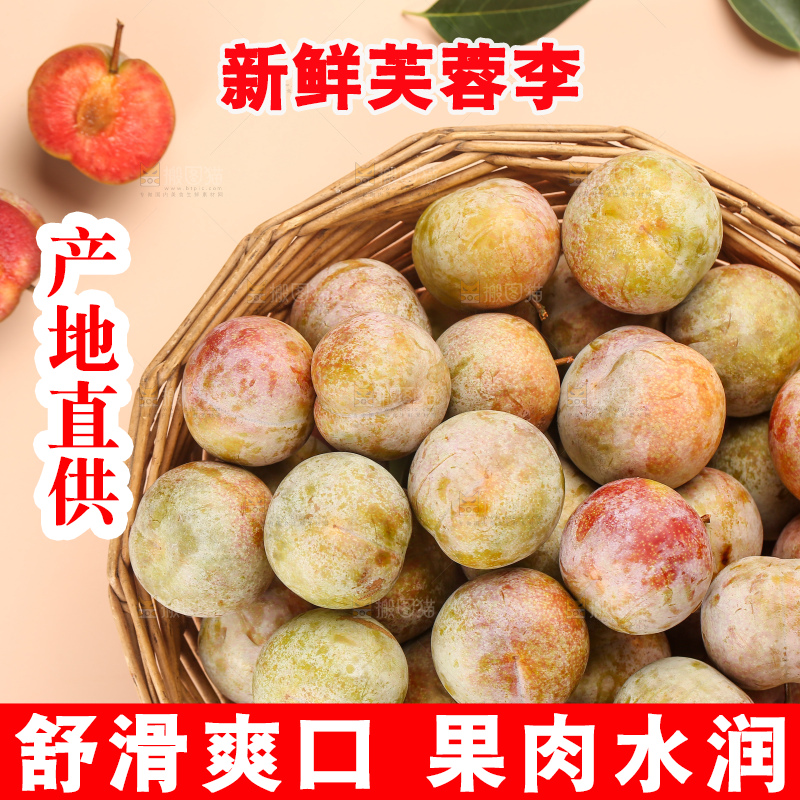 浅底上的芙蓉李