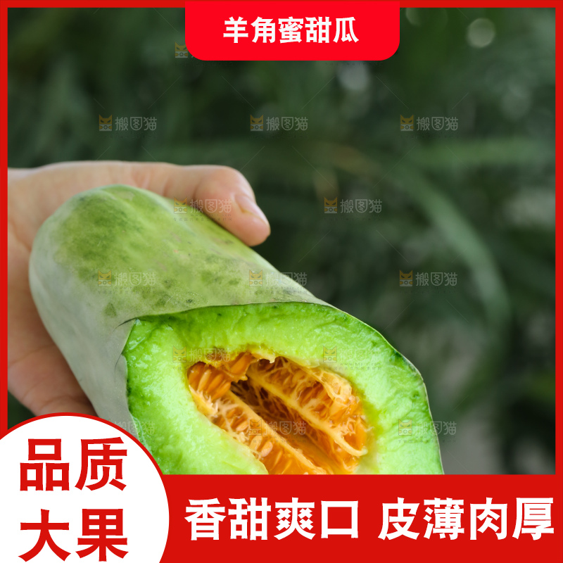 手里拿着羊角蜜甜瓜
