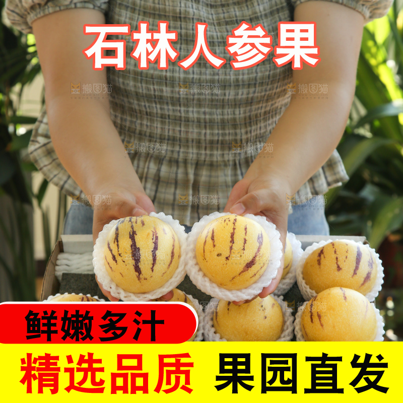 手里拿着一箱石林人参果
