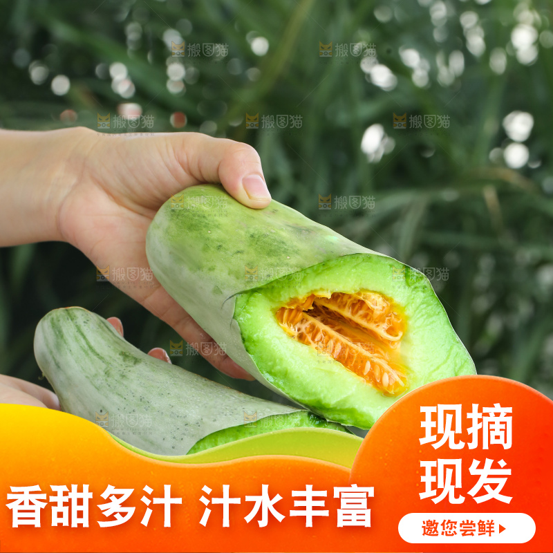 手里拿着羊角蜜甜瓜