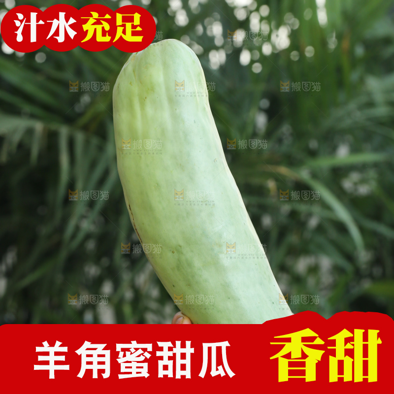 手里拿着羊角蜜甜瓜