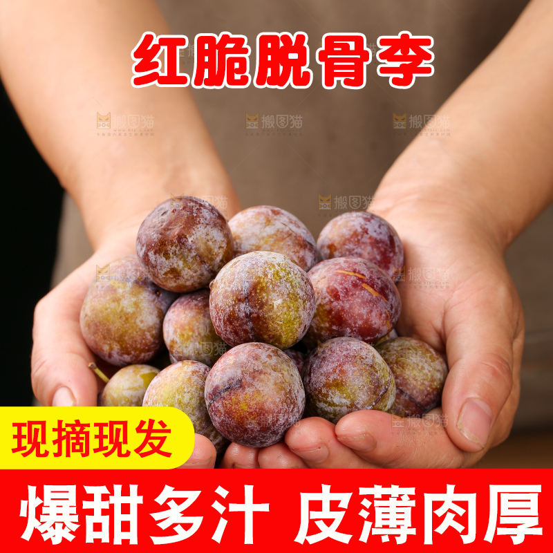 木底上的红脆李