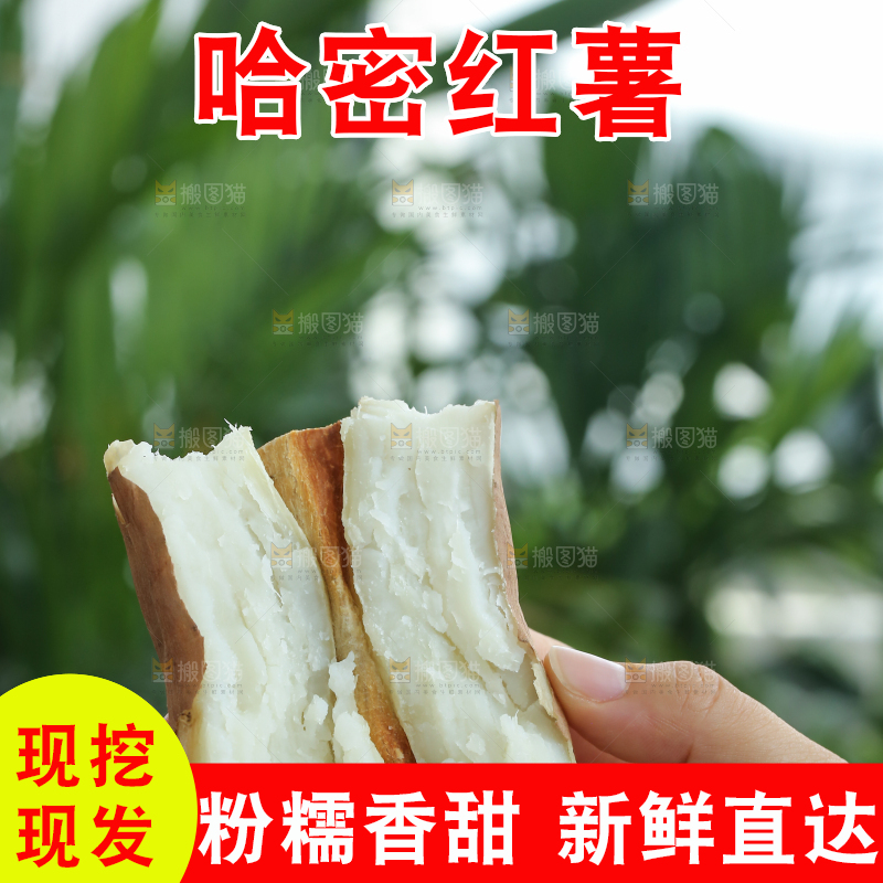 手里拿着白心冰糖薯