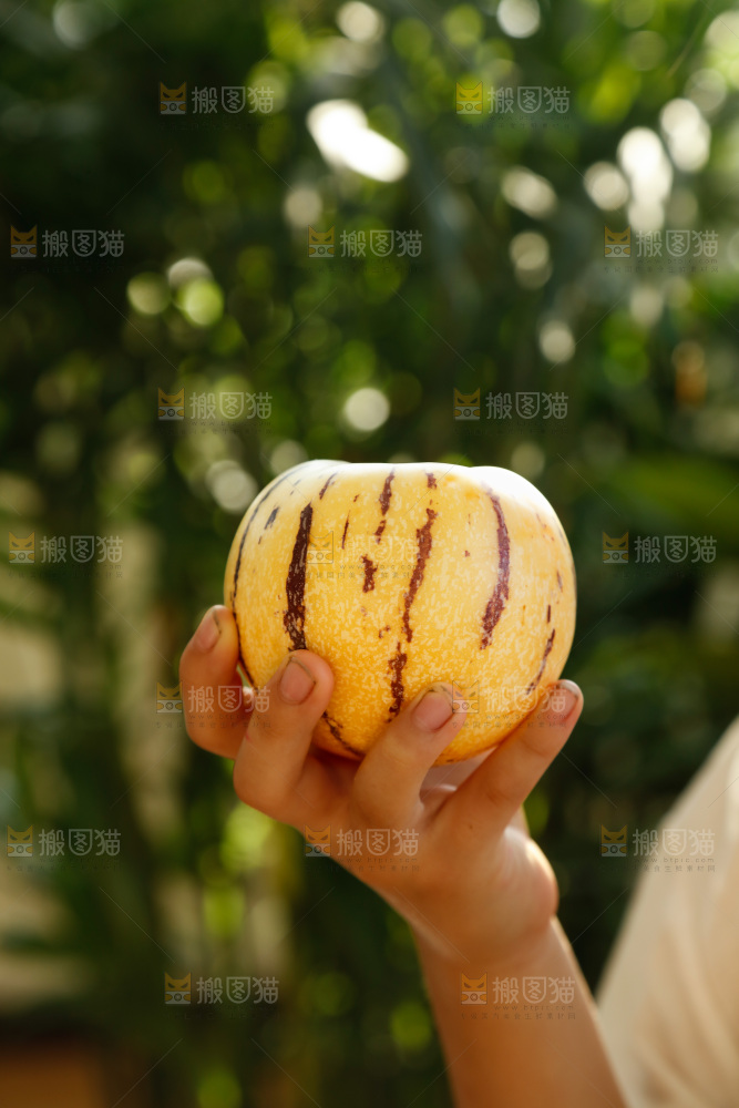 手里拿着石林人参果