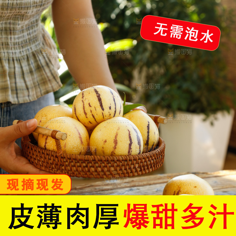手里拿着石林人参果