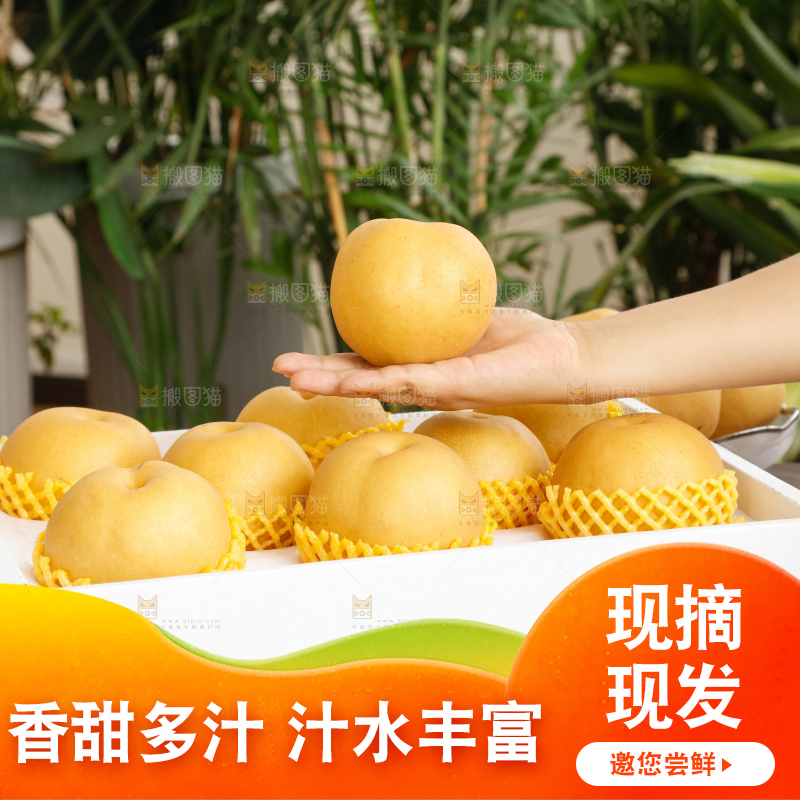 手里拿着一箱秋月梨