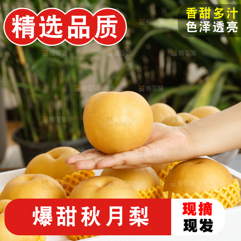 手里拿着一箱秋月梨