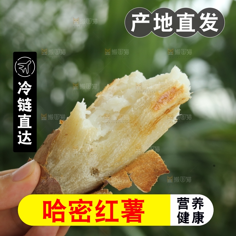 手里拿着白心冰糖薯