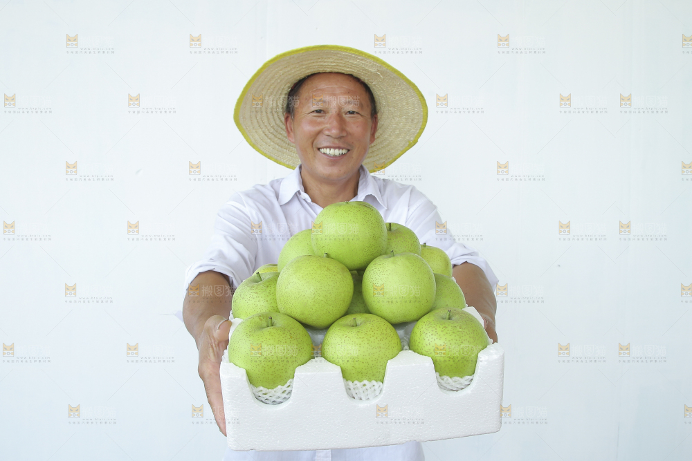 手里拿着一盒青皇冠梨