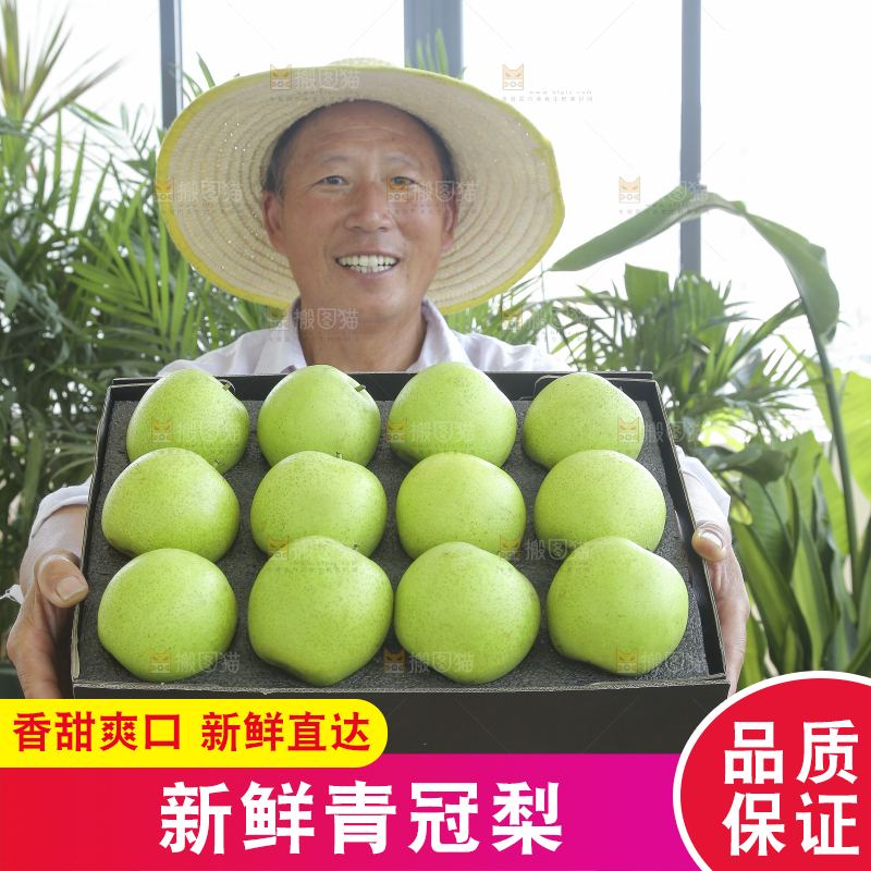 手里拿着一盒青皇冠梨