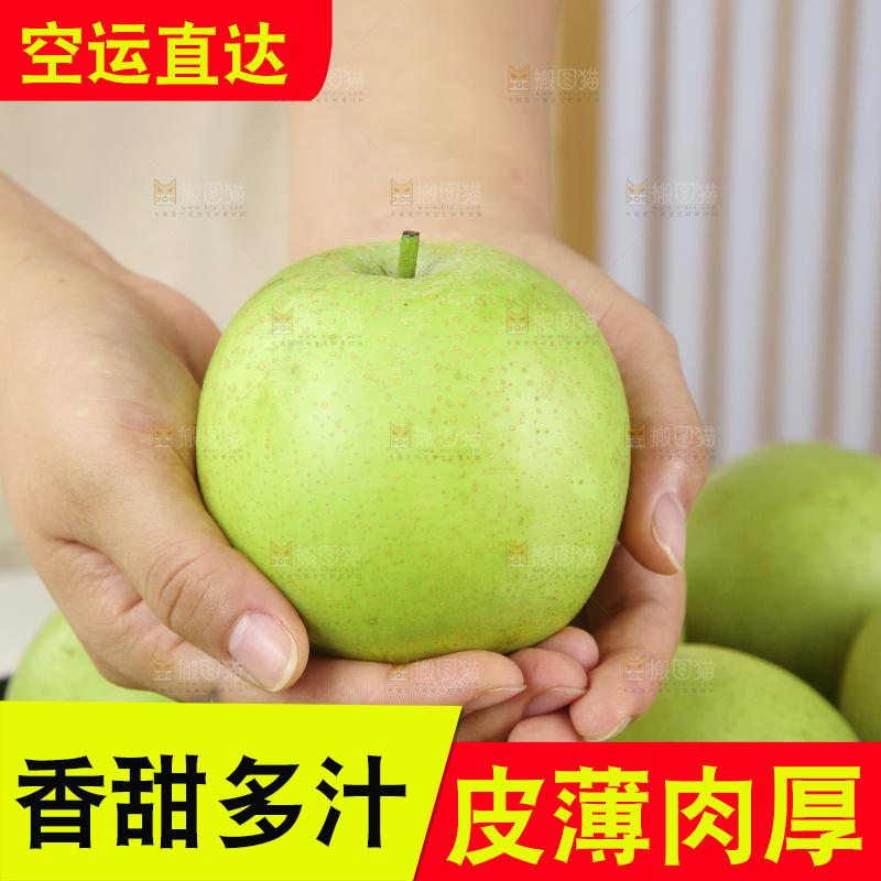 浅底上的青皇冠梨
