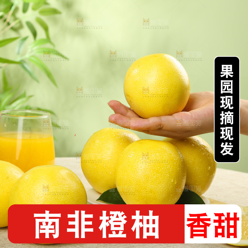 浅底上的南非橙柚